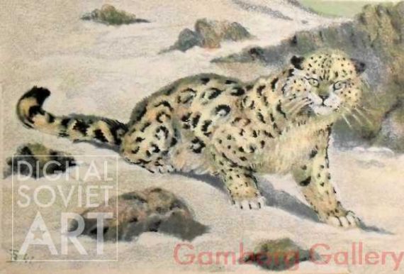 Snow Leopard – Барс