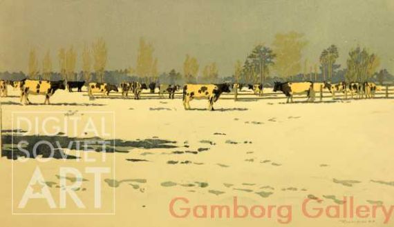 Winter. Cows on the Field – Зима. Корова в поле