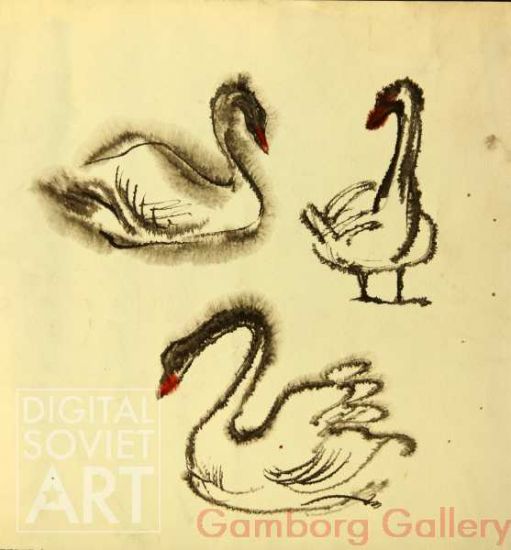 Swans – Лебеди