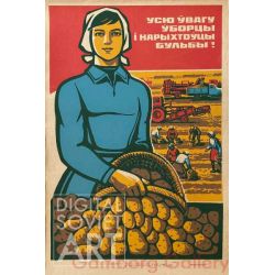 All Attention to the Potato Harvest – Усю увагу уборцы і нарыхтойцы бульбы !