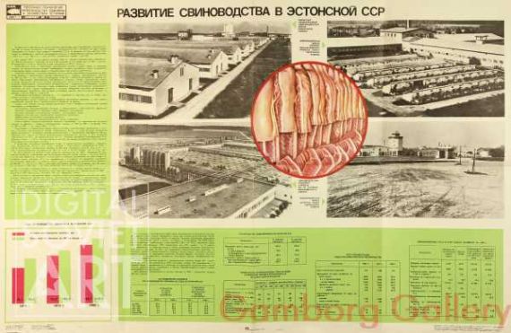 Development of Pig Farming in the Estonian Soviet Republic – Развитие свиноводство с Эстонской ССР