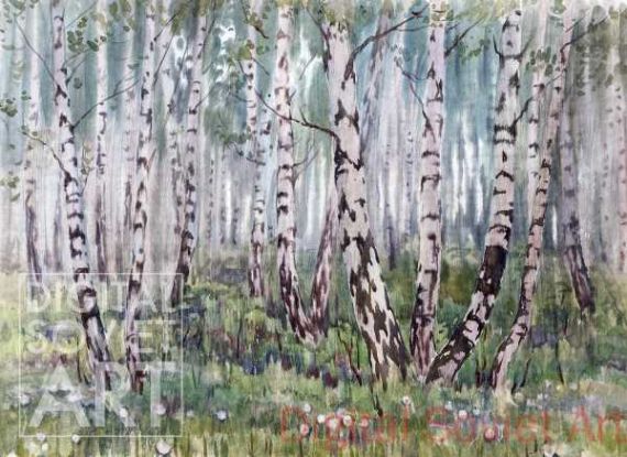 Spring Trees in Medvedkovo – Весенняя роща в Медведково