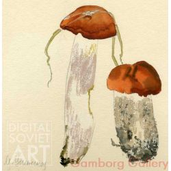 Aspen Mushroom – Подосиновики